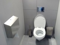 Santé : comment bien utiliser les toilettes ?