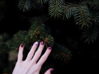 Sapin de Noël : 5 conseils pour garder un sapin bien vert