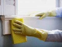 Savon noir : 8 astuces pour la maison et le jardin