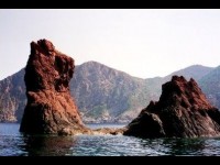 Scandola : un véritable trésor naturel