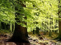 Se mettre au vert, c'est bon pour la santé