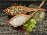 Sel et poivre : comment assaisonner viande et poisson ?