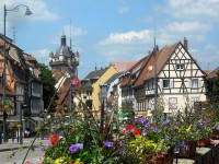 Sélestat : 5 choses à faire sur place