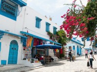 Quelles couleurs sont typiques des ruelles de Sidi Bou Saïd en Tunisie ?