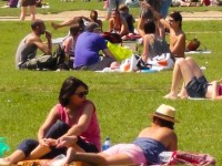 Soleil et médicaments : une association risquée