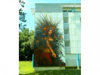 Street Art Fest : le street art fait le mur à Grenoble