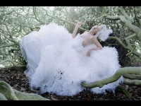 Tim Walker : un photographe à l'univers onirique
