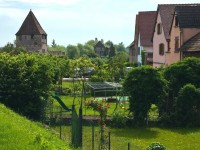 Tourisme Alsace : 5 choses à voir à Bergheim