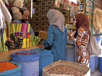 Tourisme Jordanie : 5 choses à faire à Amman