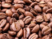Tout savoir sur la caféine 