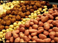 Tout savoir sur la pomme de terre