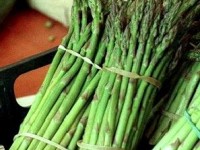 Tout savoir sur les asperges 
