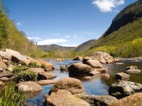 Trame verte et bleue : un projet de sauvegarde de la biodiversité
