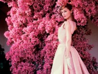 Travel in Style : des clichés de Norman Parkinson à La Vallée Village