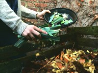 Tri obligatoire des biodéchets : comment faire ?