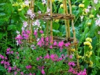 Tuteurs et supports de palissage : mode d'emploi