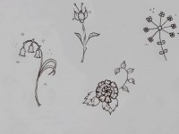 Tuto : dessiner les fleurs comme Johanna Basford