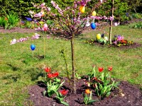 Tuto de Pâques : comment faire un arbre de Pâques ?