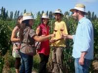 Une formation à l'oenotourisme à l'EM Strasbourg
