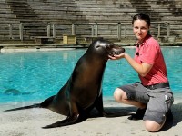 Une saison au zoo : la série documentaire à succès revient sur France 4