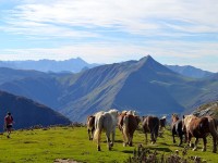 Vacances à la montagne : vers un tourisme quatre saisons