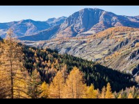 Val d'Allos en automne : quand la montagne se pare d'or et de douceur