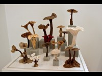 Vincent Floderer : un virtuose du papier