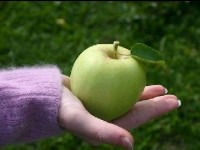 Vivre avec le diabète : guide pratique