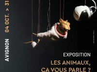 Voix animales au Grenier à Sel : quand l’art fait parler le vivant à Avignon