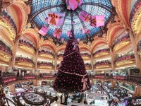 Voyage de Noël : où voir les plus beaux sapins de Noël du monde ?