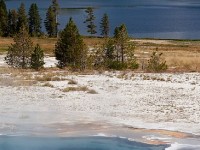 Yellowstone : un magnifique parc national