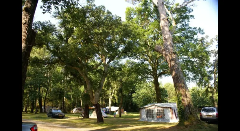 Camping Aire Naturelle Au Gat  Léon