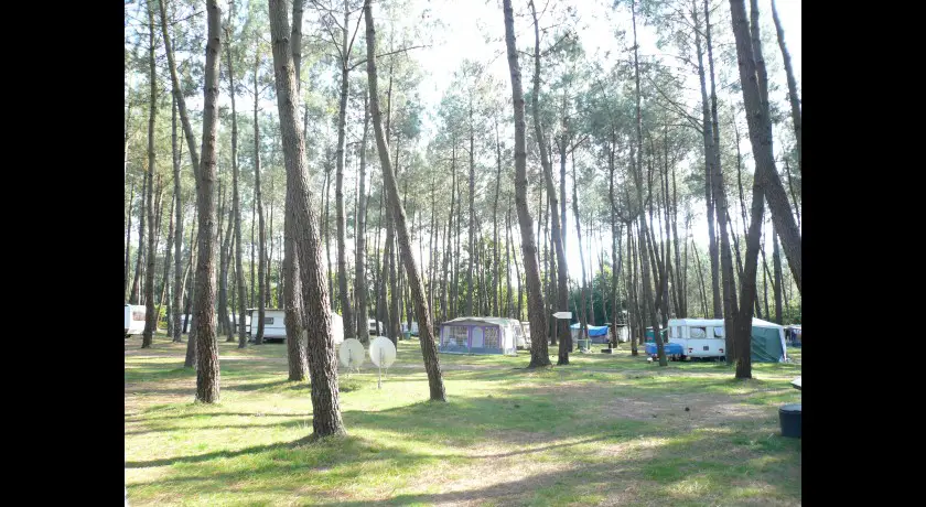 Camping Aire Naturelle Montgaillard  Sainte-eulalie-en-born