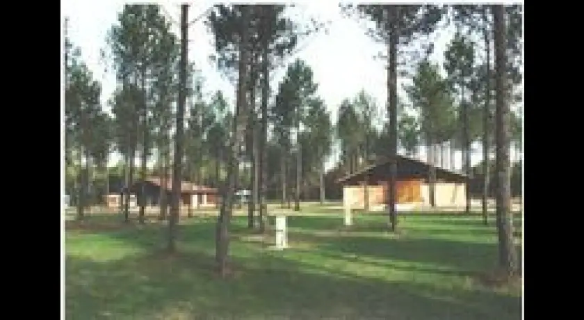 Camping Camp Municipal  Pissos