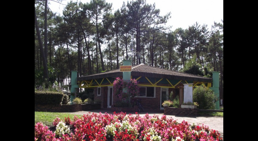 Camping Municipal La Lette Fleurie  Saint-julien-en-born