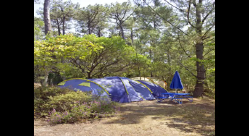 Camping L'agreou  Seignosse