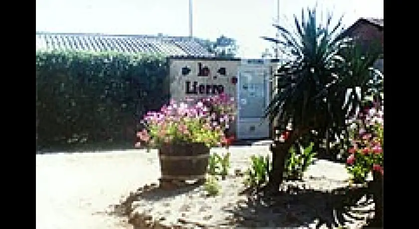 Camping Le Lierre  Carcans
