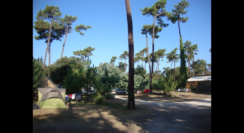 Camping Les Pins  Carcans