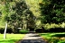 Camping Camp Municipal La Tete Noire