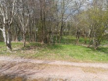 Camping Camp Municipal