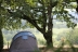 Camping Les Hirondelles
