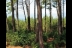 Aire Naturelle De Camping Les Ajoncs