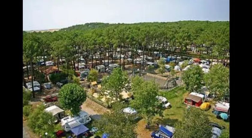 Camping Camp D'albret Plage  Messanges