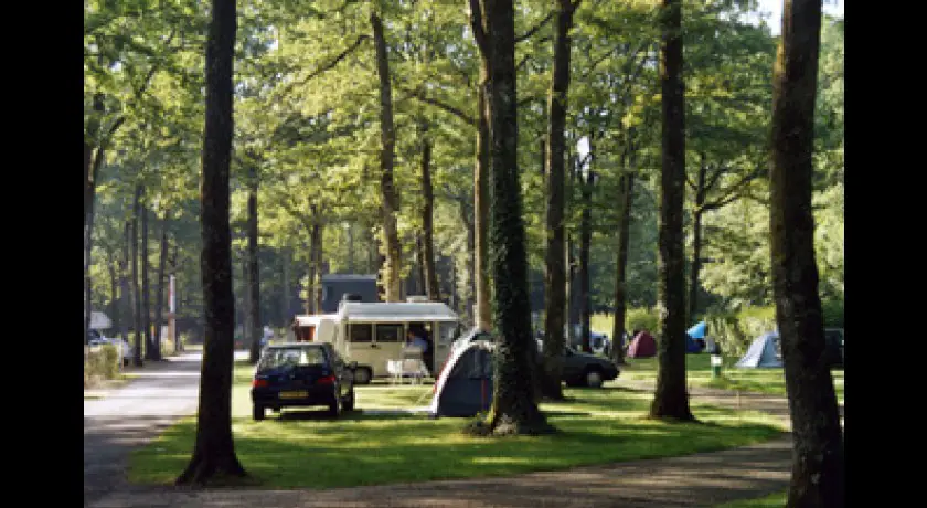 Camping La Foret  Sillé-le-guillaume