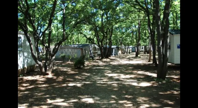 Camping Domaine Des Chenes Blancs  Saint-saturnin-lès-apt