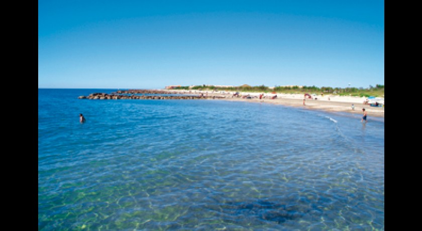 Camping Les Tamaris  Frontignan