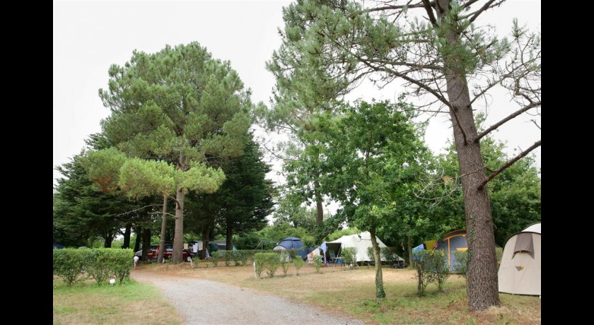 Camping Les Ajoncs D'or  La baule-escoublac