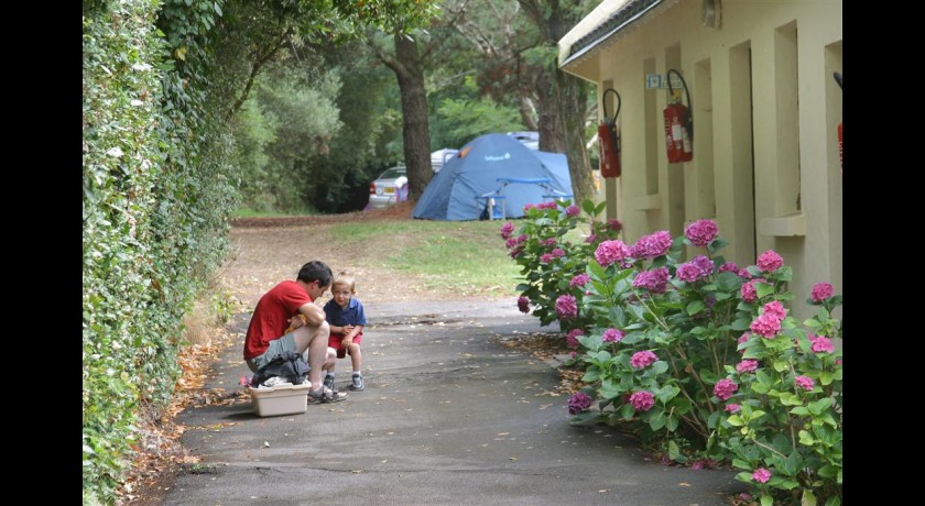 Camping Les Ajoncs D'or  La baule-escoublac