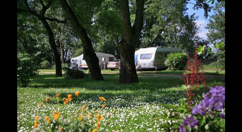 Camping L'isle Verte  Montsoreau