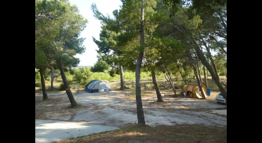 Camping Le Bois Des Pins  Salses-le-château